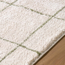 Livabliss Tivoli-Washable Cream Green Modern High Pile Living Dining Bedroom Rug 200 X 275 Cm Easy Care, Non Shedding - thumbnail 3