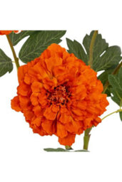 Vivid Orange African Marigold Large Artificial Flower Spray For Retail, Decor - thumbnail 3
