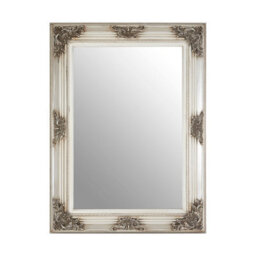Orsina Baroque Rectangle Silver Wall Mirror,metallic Ornate Floral Framed Hanging Mirror,intricate Silver Mirror - thumbnail 1