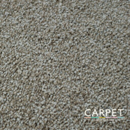 Carpet Shop Online Havana Dune Beige Saxony Carpet 5M X 4M - thumbnail 3
