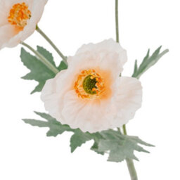 Hill Interiors Cream Papaver Poppy Spray Artificial Flower - Plastic - L15 X W15 X H58 Cm - White - thumbnail 3