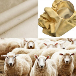 Taps2Traps Genuine Large Chamois Leather Car Drying Towel Absorbent Washing Cleaning - 30Cm - thumbnail 5