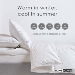 Homescapes Goose Feather And Down 4.5 Tog Single Size Summer Duvet - thumbnail 5