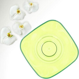 B2C Plant Orchid Pot Plastic  Gloss Oval Planter 12 Cm Green Transparent Square - thumbnail 2