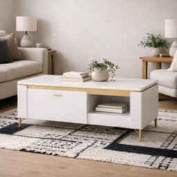 Wyld Haus Maribo Matt White Coffee Table 1 Drawer Gold Metal Legs