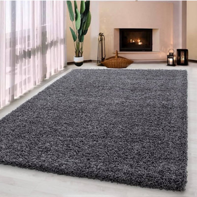 Uetian Dark Grey Shaggy Area Rug Soft Thick Pile 5Cm For Living Room Bedroom Hallway 120X170 - image 1
