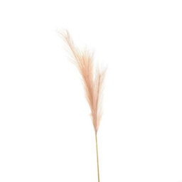 Hill Interiors Uk Homeliving Faux Pampas Grass Stem - thumbnail 1
