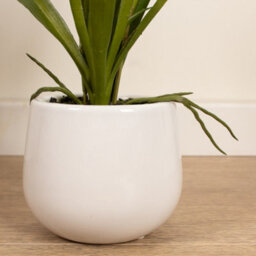 Scottish Everlastings Ltd. Scottish Everlastings Artificial 51Cm Real Touch 2-Stem White Mini Cymbidium Orchid In Pot - thumbnail 3