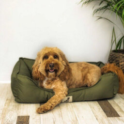 All Pond Solutions All Pet Solutions Dexter Waterproof Dog Bed Green - Size Large - thumbnail 2
