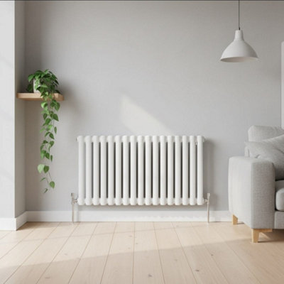 Ethiant Lux Ethiant  Oval Tubed Panel Double Horizontal Radiator 600 Height X 780 Width White