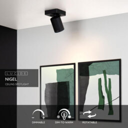 Lucide Nigel Modern Ceiling Spotlight - Led Dim To Warm - Gu10 - 1X5W 2200K/3000K - Black - thumbnail 2