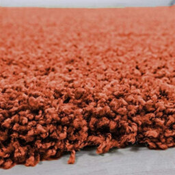 Abaseen 120X170 Cm Terracotta Shaggy Rug - Soft Touch Thick Pile Modern Rugs - Washable Area Rugs For Home And Office - thumbnail 2