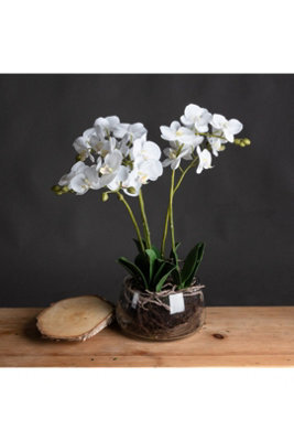 Elegant White Orchid In Glass Pot, Realistic Faux Plant For Home Decor - image 1