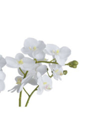 Elegant White Orchid In Glass Pot, Realistic Faux Plant For Home Decor - thumbnail 3