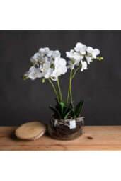 Elegant White Orchid In Glass Pot, Realistic Faux Plant For Home Decor - thumbnail 1