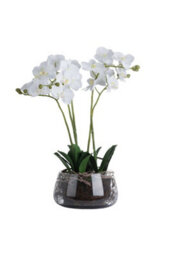 Elegant White Orchid In Glass Pot, Realistic Faux Plant For Home Decor - thumbnail 2