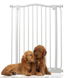 Bettacare Extra Tall Curved Top Dog Gate, 71Cm - 80Cm, Matt White, Extra Tall 100Cm In Height, Pressure Fit Pet Gate - thumbnail 1
