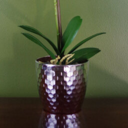 Leaf Artificial 50Cm Phalaenopsis Orchid - Light Pink Silver - thumbnail 3