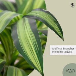 Artificial Plant Dracaena, Maia Shop For Home And Office Decoration, 105Cm - thumbnail 3