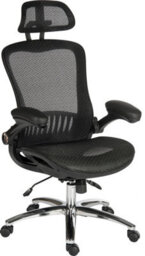 Teknik Harmony Mesh Executive Chair Black With Removable Headrest, Gas Lift Seat Height Adjustment And Tilt To Seat And Back - thumbnail 1