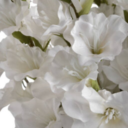 Wyld Haus Set Of 3 White Artificial Gladioli Stems, Tall Faux Flower Stems - thumbnail 2