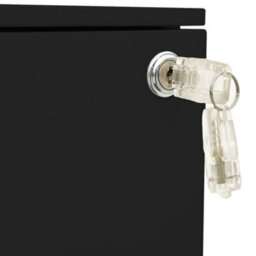 Vidaxl Mobile File Cabinet Black 39X45X60 Cm Steel - thumbnail 8