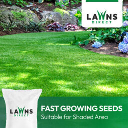 Lawns Direct™ Prograss™ 6Kg Professional High Tolerance Grass Seed Mix For Shaded Areas Covers 172-300M² - thumbnail 5