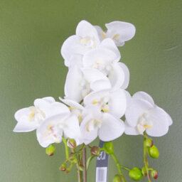 Leaf 54Cm Artificial Orchid Plant White With Gold Pot - thumbnail 2