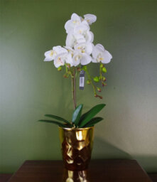 Leaf 54Cm Artificial Orchid Plant White With Gold Pot