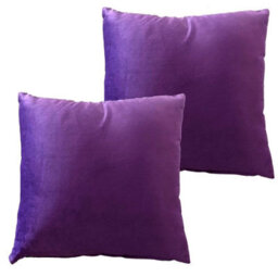 Matte Velvet Cushion Cover In Plum
