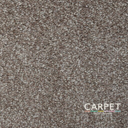 Carpet Shop Online Predera Brown Saxony Felt Back Carpet 1.5M X 4M - thumbnail 1