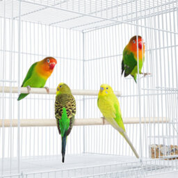 Yaheetech White Bird Cage Flight Cage Extra Space W/ Slide-Out Tray And Wood Perches - thumbnail 6