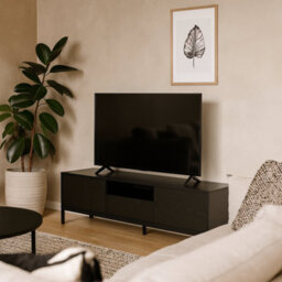 Wyld Haus El Paso Black Wooden Tv Unit 2 Doors 1 Drawer Metal Base - thumbnail 2