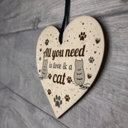 Red Ocean All You Need Is Love And A Cat Gift Cat Sign Hanging Heart Decoration Cat Lover Gift - thumbnail 7