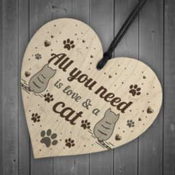 Red Ocean All You Need Is Love And A Cat Gift Cat Sign Hanging Heart Decoration Cat Lover Gift - thumbnail 6