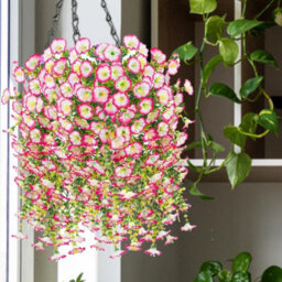 Artificial Outdoor Hanging Petunia Flowers, 2 Pieces Faux Petunias, Hanging Artificial Flowers, Weather Resistant, Uv Resistant - thumbnail 4