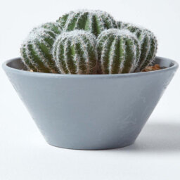 Homescapes Artificial Green Handcrafted Barrel Cactus Arrangement In Round Grey Pot, 17 Cm - thumbnail 4