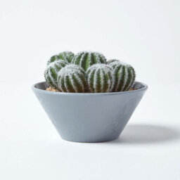Homescapes Artificial Green Handcrafted Barrel Cactus Arrangement In Round Grey Pot, 17 Cm - thumbnail 6