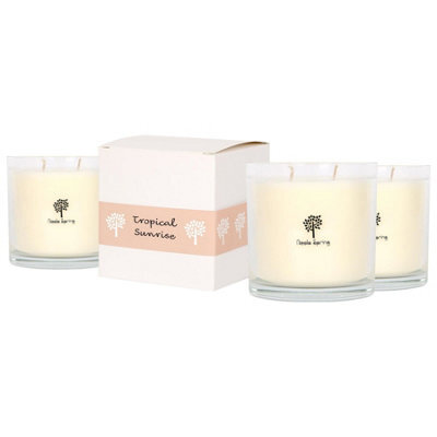 Nicola Spring 3X Tropical Sunrise Scented Candles - 400G 28H Natural Single Wick Soy Wax Aromatherapy Candle Home Fragrance - image 1
