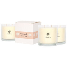 Nicola Spring 3X Tropical Sunrise Scented Candles - 400G 28H Natural Single Wick Soy Wax Aromatherapy Candle Home Fragrance