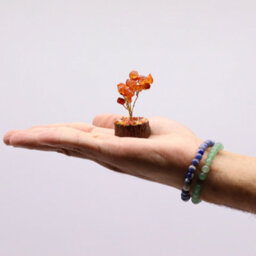 Serenityy Mini Carnelian Gemstone Tree On Wood Base - 15 Stones, 6 Cm Decorative Crystal Ornament - thumbnail 5