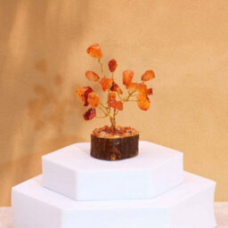 Serenityy Mini Carnelian Gemstone Tree On Wood Base - 15 Stones, 6 Cm Decorative Crystal Ornament - thumbnail 1