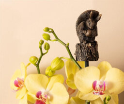 Jardinopia Beatrix Potter Squirrel Nutkin Cane Or Stake Topper (Ccbp0006) - L3.5 X W3.5 X H8.5 Cm - thumbnail 4