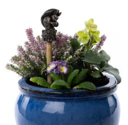 Jardinopia Beatrix Potter Squirrel Nutkin Cane Or Stake Topper (Ccbp0006) - L3.5 X W3.5 X H8.5 Cm - thumbnail 3