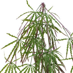 Leaf Artificial Foliage Hanging Acer Fern Plant - thumbnail 6