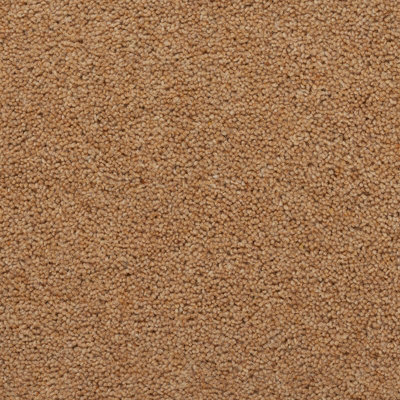 Summit Exclusive 80% Wool Luxury Twist Carpet By Remland (Saint Elias, 4M X 4M)