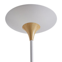 Darphe 40W Modern Minimalist White Metal Floor Lamp, 162Cmh - thumbnail 6