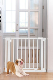 Bettacare Wooden Elegance Dog Gate, White, 97Cm - 105Cm, Pressure Fit Pet Gate, 65Cm Extra Wide Doorway, Easy Installation - thumbnail 6