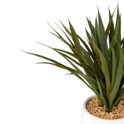 Candlelight 57Cm Yukka Artificial Plant In Cream Ceramic Pot - thumbnail 3