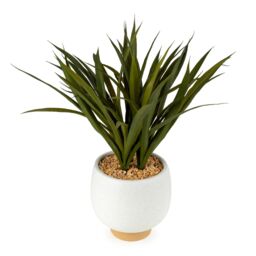 Candlelight 57Cm Yukka Artificial Plant In Cream Ceramic Pot - thumbnail 2